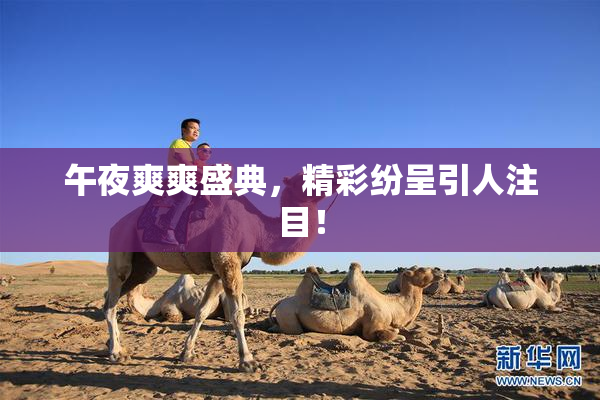 午夜爽爽盛典，精彩纷呈引人注目！