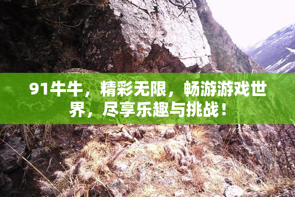 91牛牛，精彩无限，畅游游戏世界，尽享乐趣与挑战！