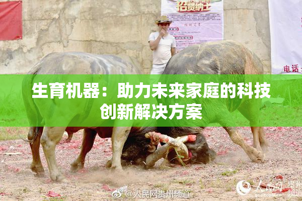 生育机器：助力未来家庭的科技创新解决方案