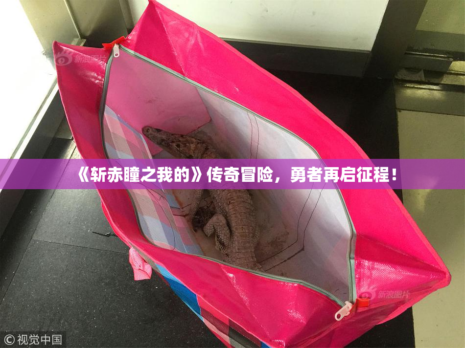 《斩赤瞳之我的》传奇冒险，勇者再启征程！