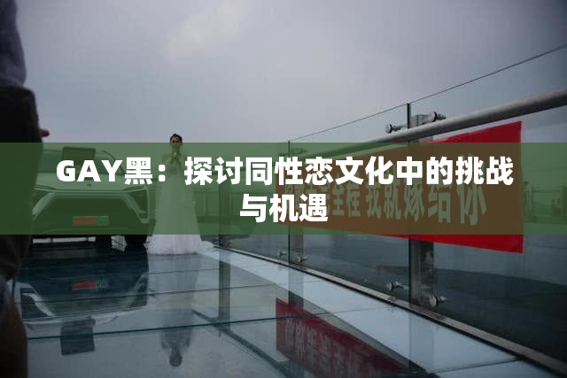 GAY黑：探讨同性恋文化中的挑战与机遇