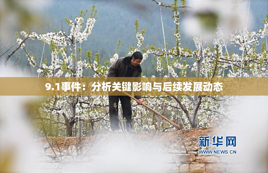 9.1事件：分析关键影响与后续发展动态