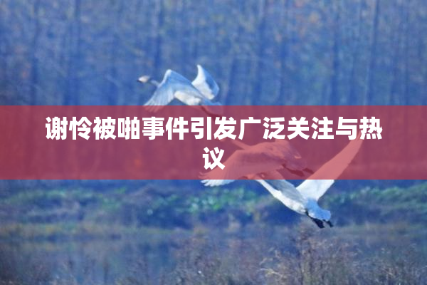 谢怜被啪事件引发广泛关注与热议