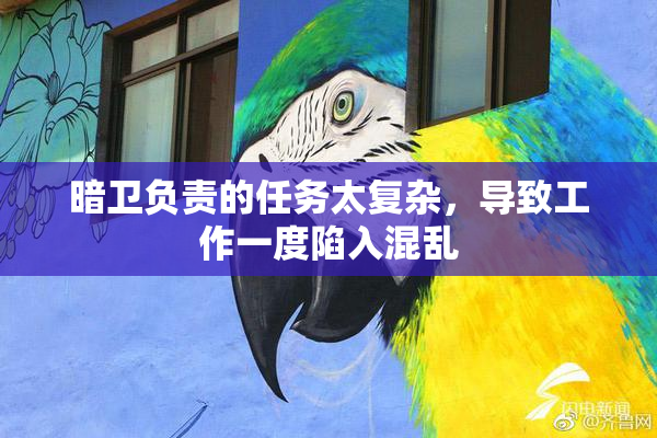 暗卫负责的任务太复杂，导致工作一度陷入混乱