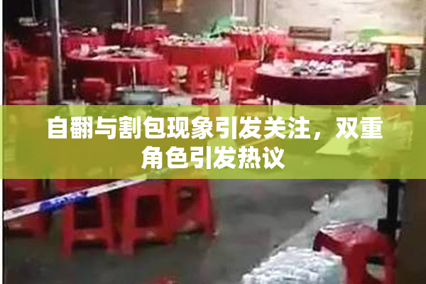 自翻与割包现象引发关注，双重角色引发热议