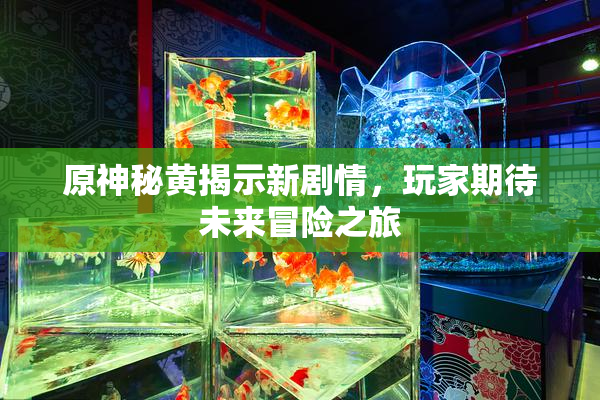 原神秘黄揭示新剧情，玩家期待未来冒险之旅