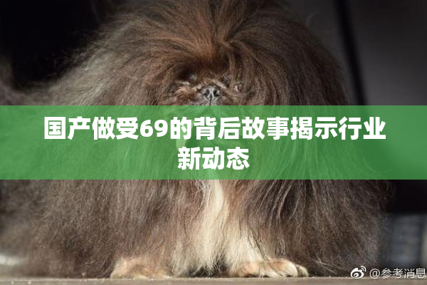 国产做受69的背后故事揭示行业新动态