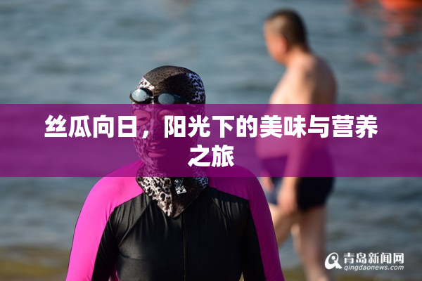 丝瓜向日，阳光下的美味与营养之旅