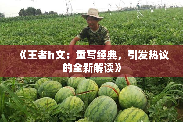 《王者h文：重写经典，引发热议的全新解读》