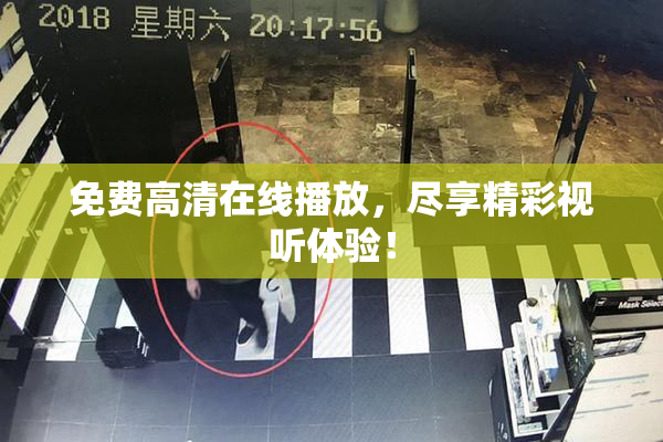 免费高清在线播放，尽享精彩视听体验！