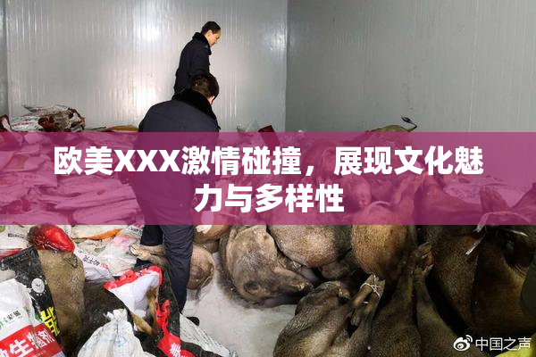 欧美XXX激情碰撞，展现文化魅力与多样性