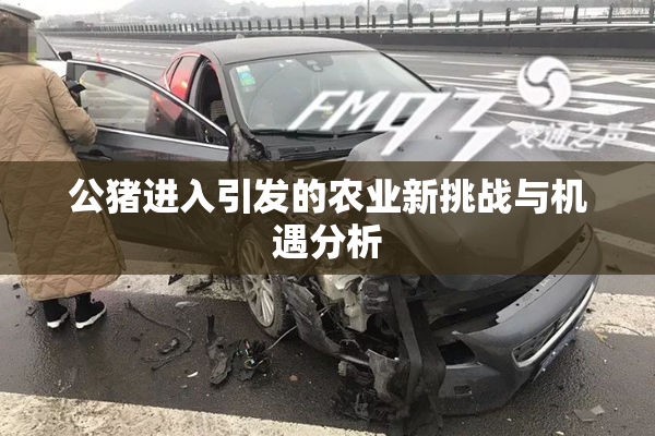 公猪进入引发的农业新挑战与机遇分析
