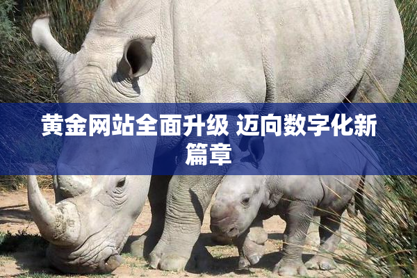 黄金网站全面升级 迈向数字化新篇章