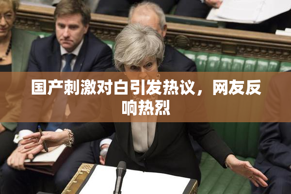 国产刺激对白引发热议，网友反响热烈