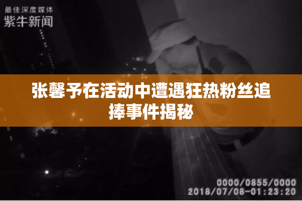 张馨予在活动中遭遇狂热粉丝追捧事件揭秘