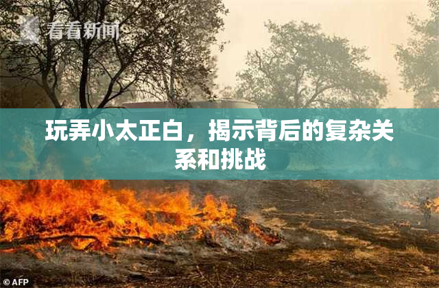 玩弄小太正白，揭示背后的复杂关系和挑战