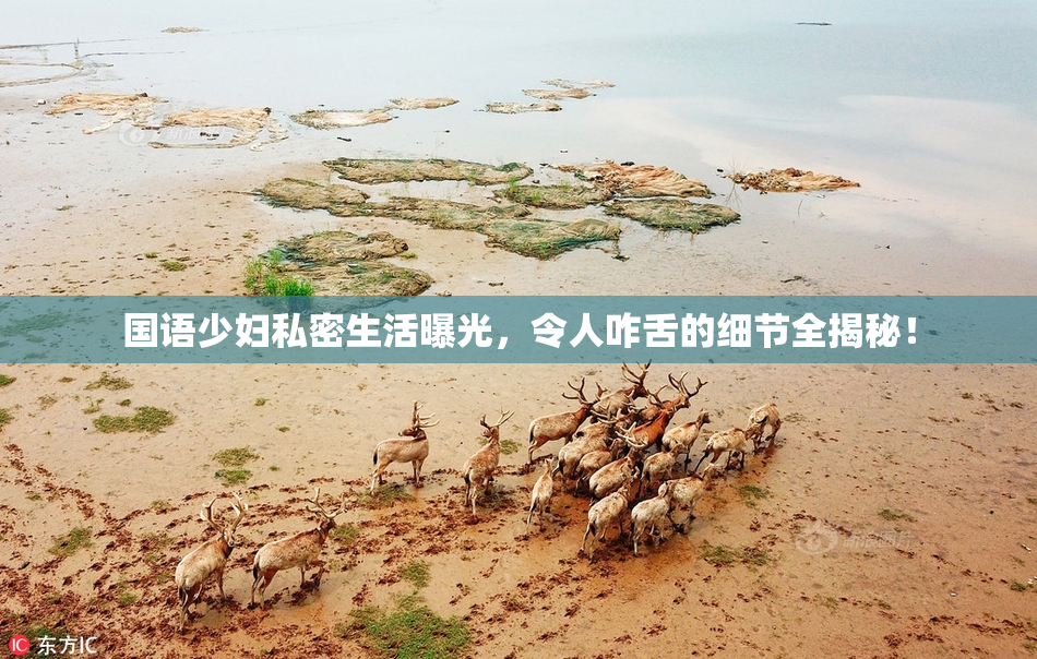 国语少妇私密生活曝光，令人咋舌的细节全揭秘！