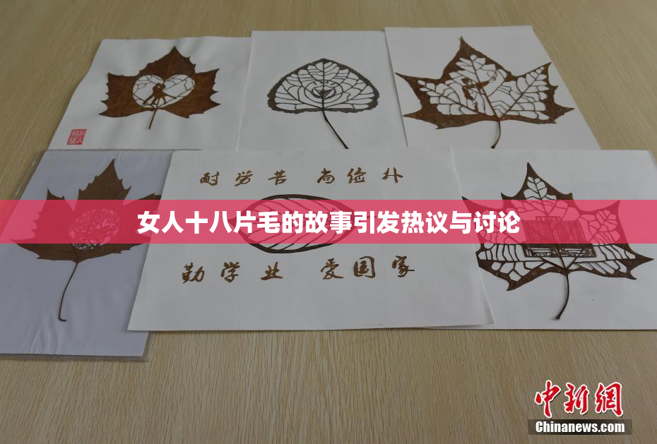 女人十八片毛的故事引发热议与讨论