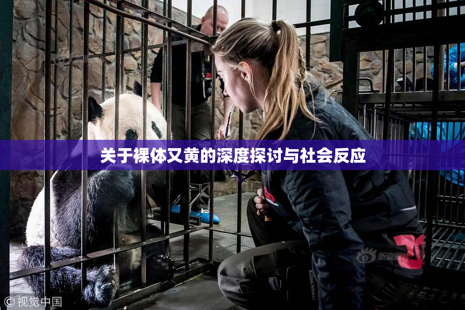 关于裸体又黄的深度探讨与社会反应