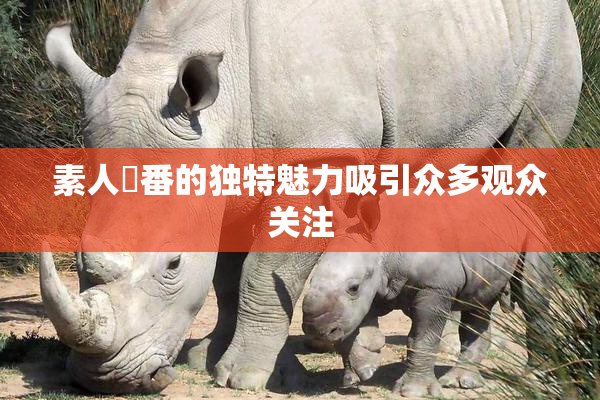 素人蘭番的独特魅力吸引众多观众关注