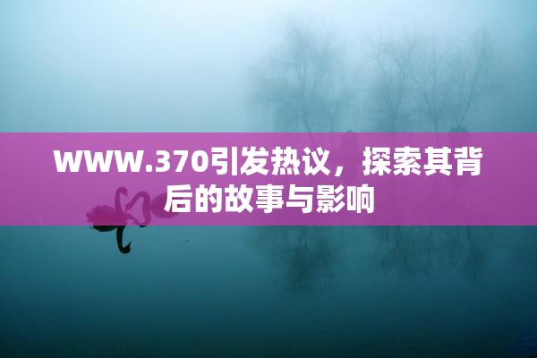 WWW.370引发热议，探索其背后的故事与影响