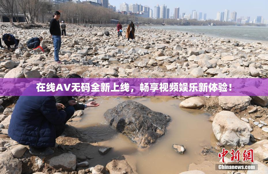 在线AV无码全新上线，畅享视频娱乐新体验！