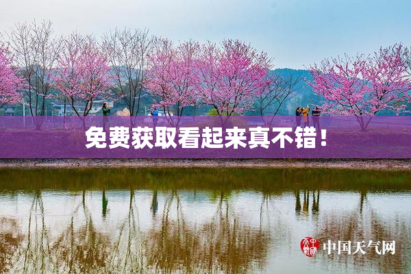 免费获取看起来真不错！