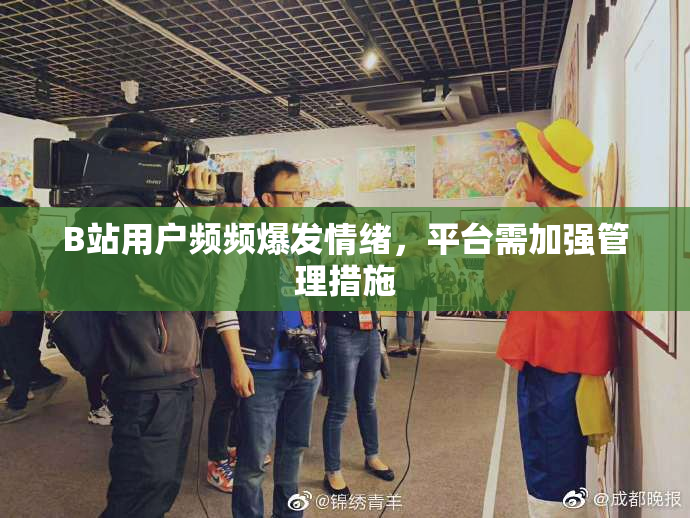 B站用户频频爆发情绪，平台需加强管理措施