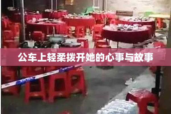 公车上轻柔拨开她的心事与故事