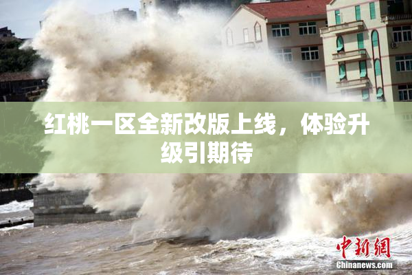 红桃一区全新改版上线，体验升级引期待