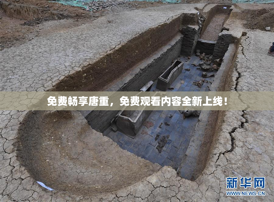 免费畅享唐重，免费观看内容全新上线！