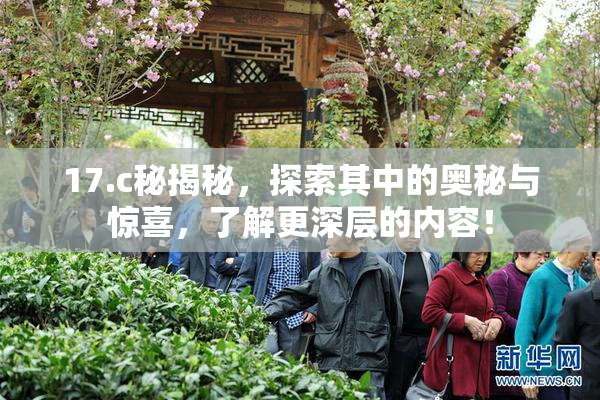 17.c秘揭秘，探索其中的奥秘与惊喜，了解更深层的内容！