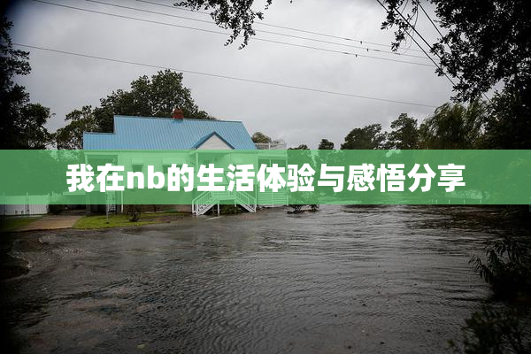我在nb的生活体验与感悟分享