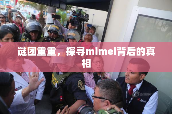 谜团重重，探寻mimei背后的真相