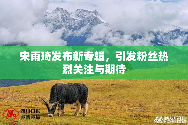 宋雨琦发布新专辑，引发粉丝热烈关注与期待