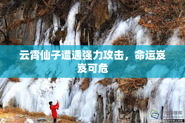 云霄仙子遭遇强力攻击，命运岌岌可危