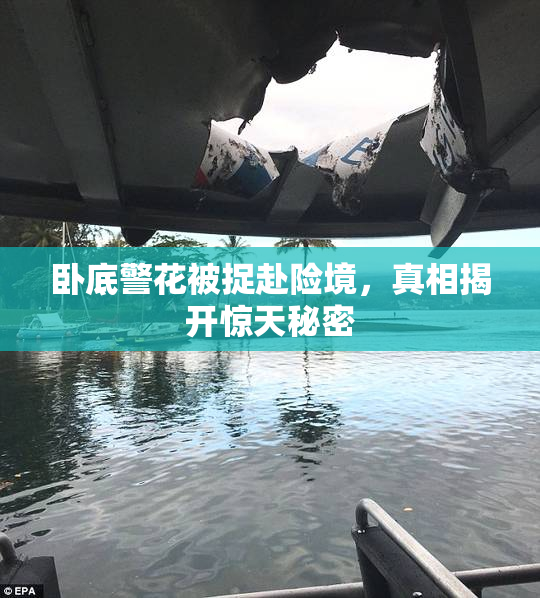 卧底警花被捉赴险境，真相揭开惊天秘密