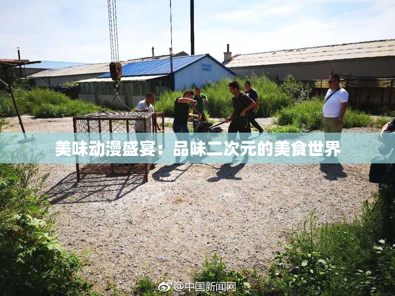 美味动漫盛宴：品味二次元的美食世界