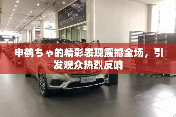 申鹤ちゃ的精彩表现震撼全场，引发观众热烈反响