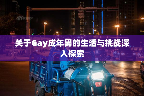 关于Gay成年男的生活与挑战深入探索