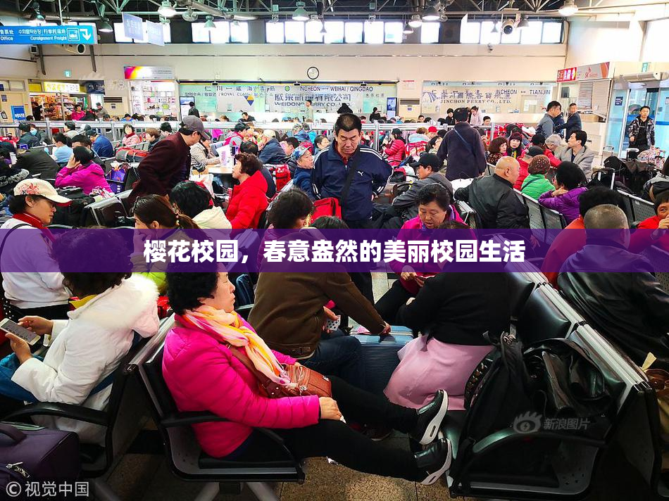 樱花校园，春意盎然的美丽校园生活