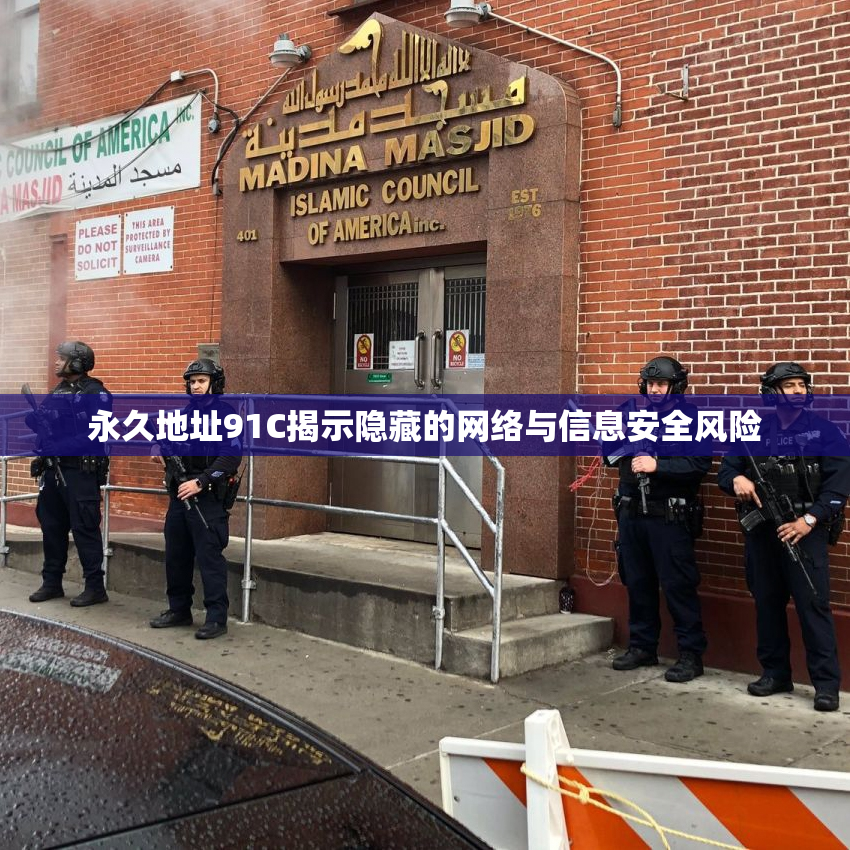永久地址91C揭示隐藏的网络与信息安全风险