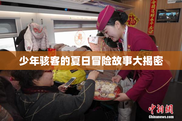 少年骇客的夏日冒险故事大揭密