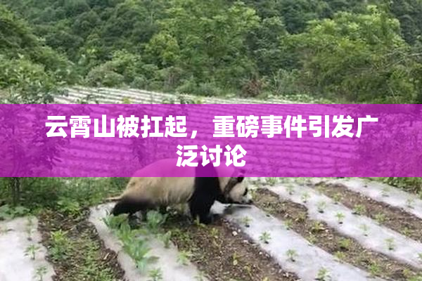 云霄山被扛起，重磅事件引发广泛讨论