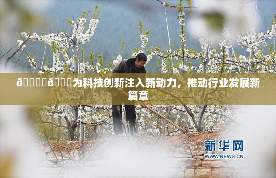 🔞‌🍌为科技创新注入新动力，推动行业发展新篇章