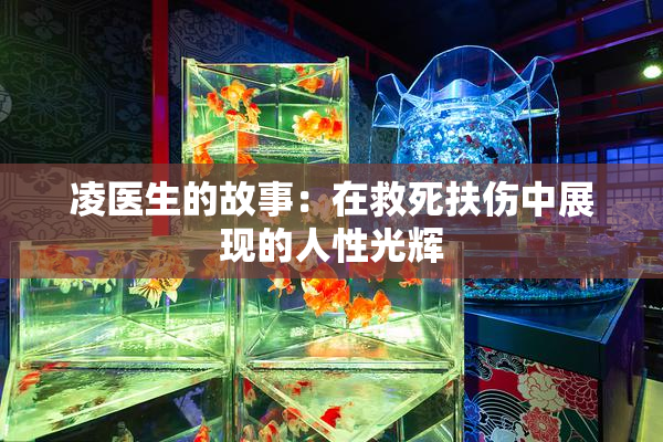 凌医生的故事：在救死扶伤中展现的人性光辉