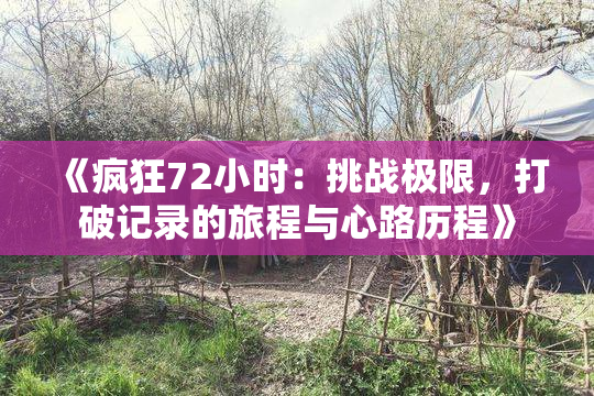 《疯狂72小时：挑战极限，打破记录的旅程与心路历程》