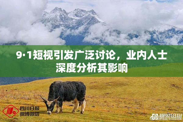 9·1短视引发广泛讨论，业内人士深度分析其影响