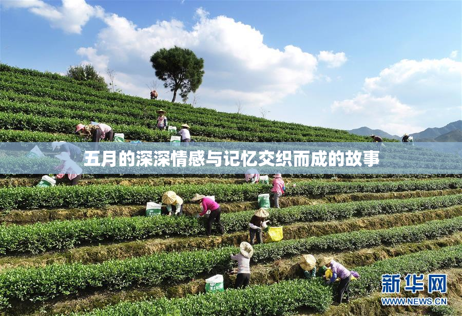 五月的深深情感与记忆交织而成的故事