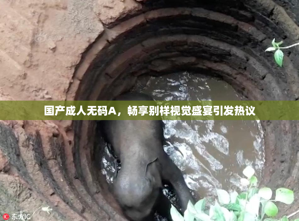 国产成人无码A，畅享别样视觉盛宴引发热议